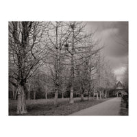 Bute Park, Cardiff (Print Only)