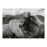 Horses In The Sky (Print Only) thumbnail