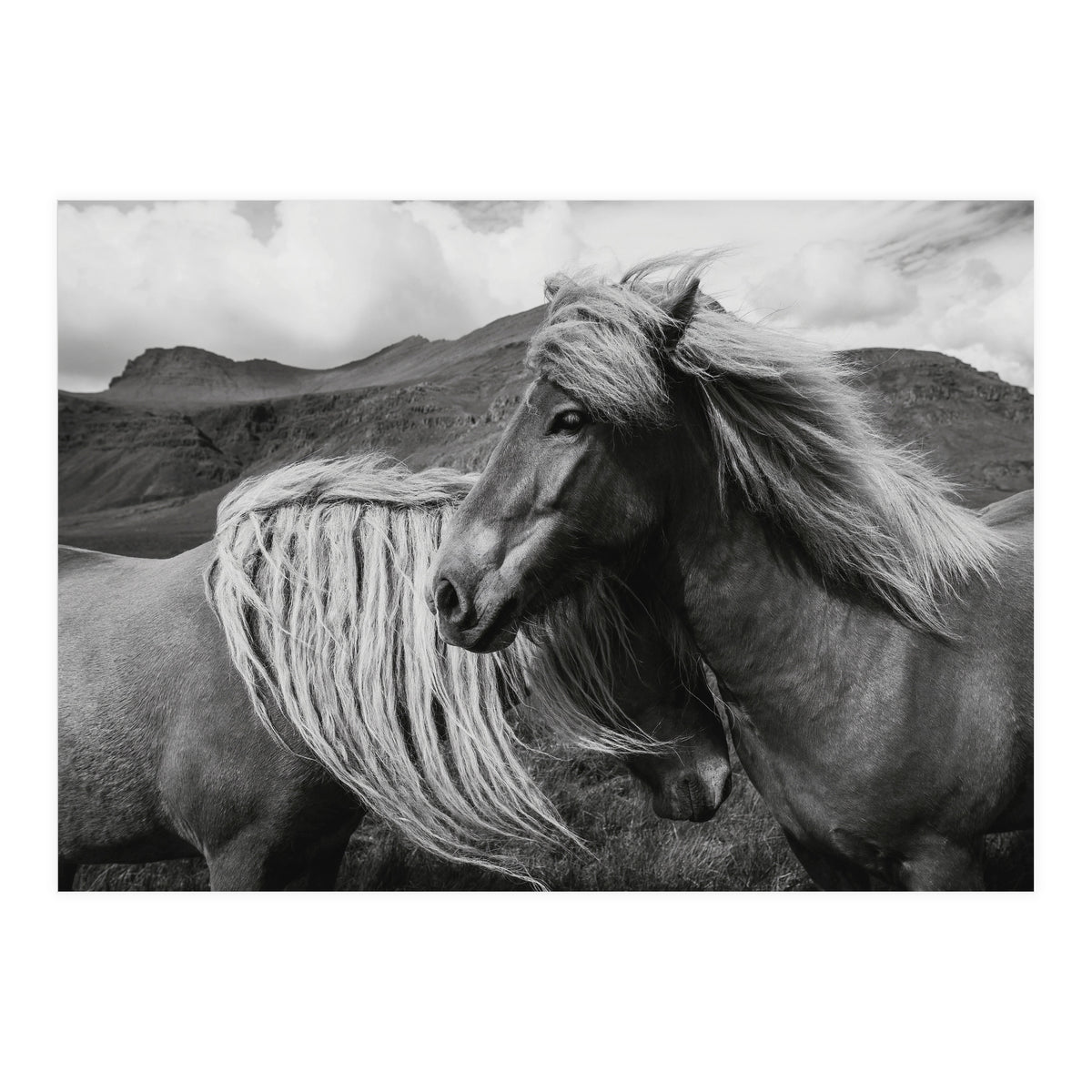 Horses In The Sky (Print Only)