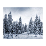 Winterland (Print Only) thumbnail