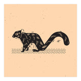 Squirrel (Print Only) thumbnail