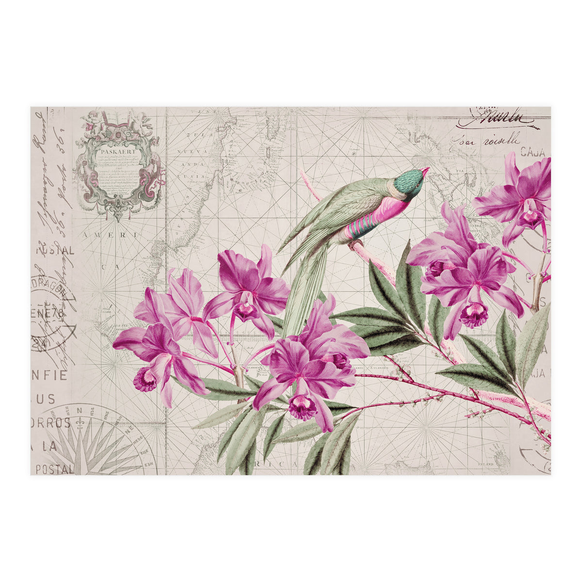 The Birds Voyage Of Discovery (Print Only)