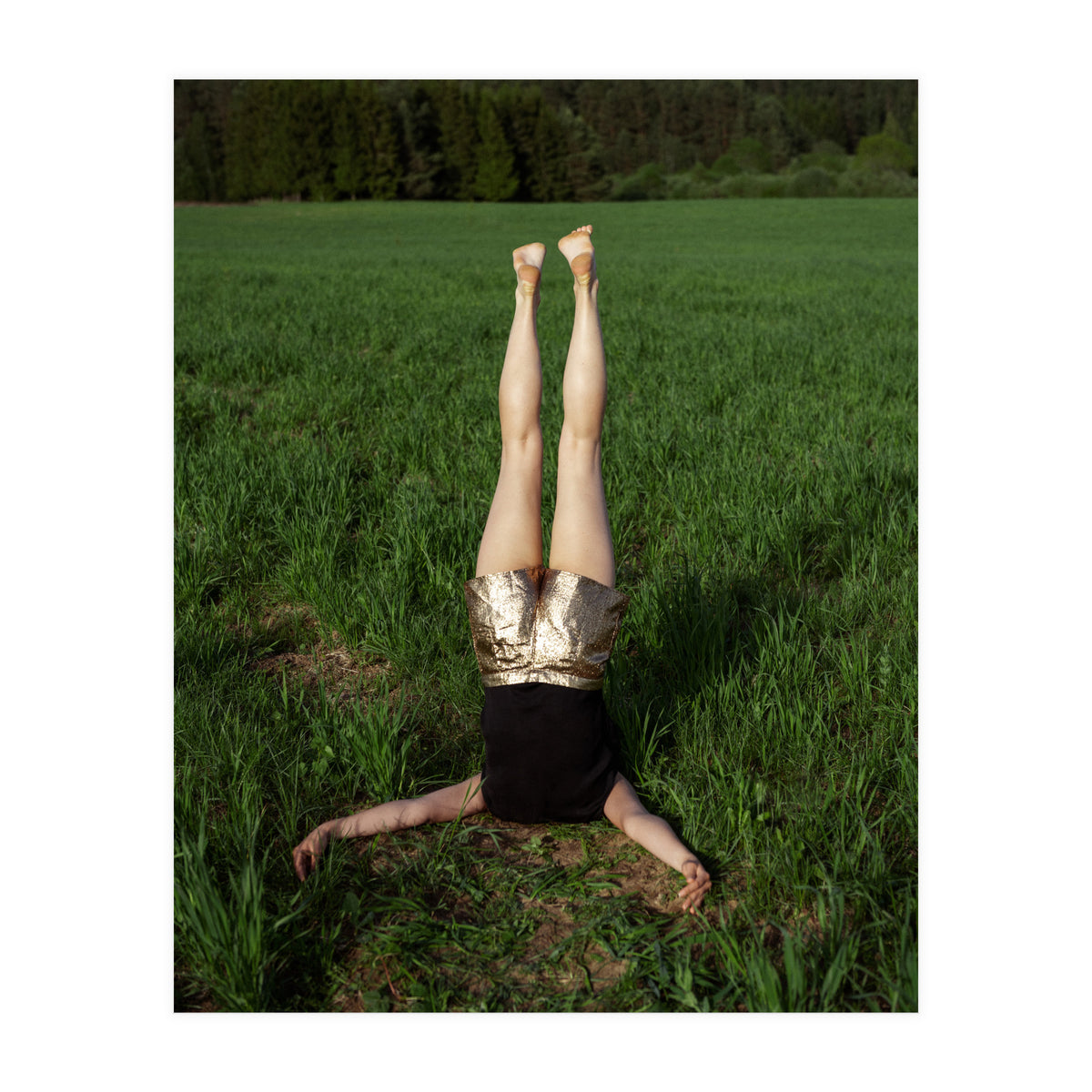 Gravity (Print Only)