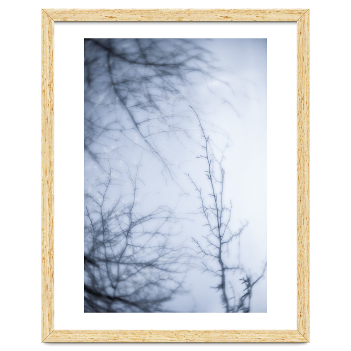 Forgotten Memories of Summer #21