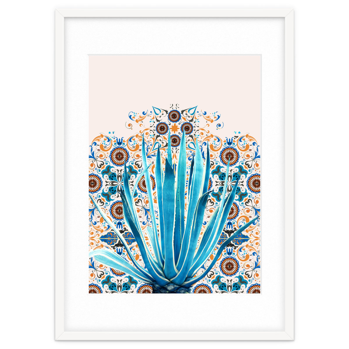 Cactus and Moroccan tiles