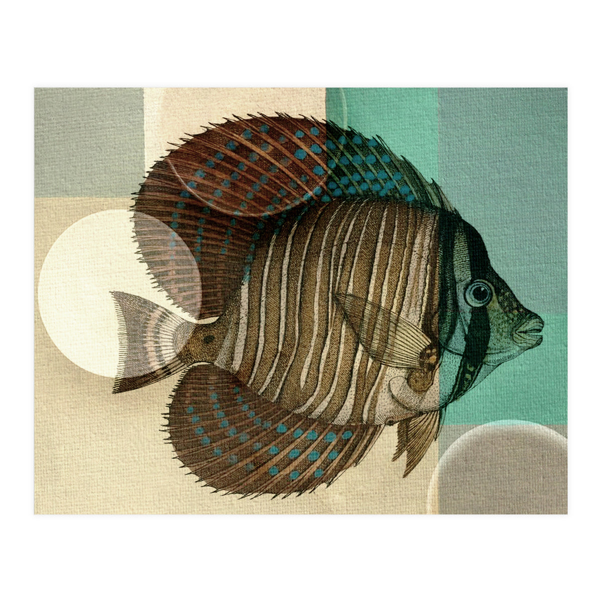 Fish Between Circles 4 (Print Only)