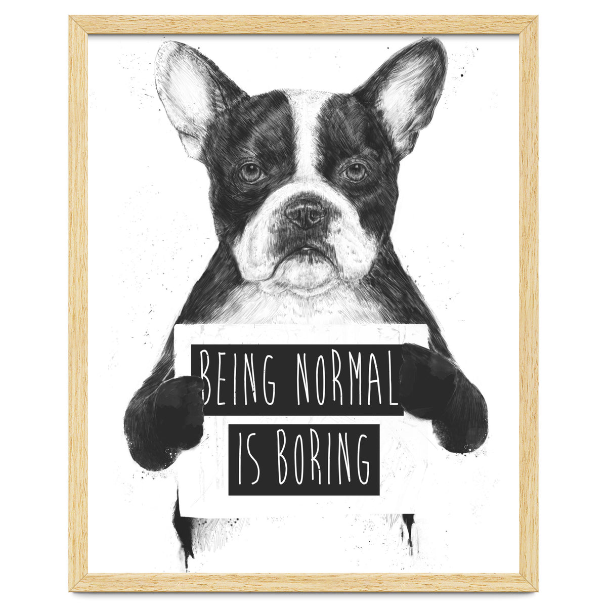 Being Normal Is Boring