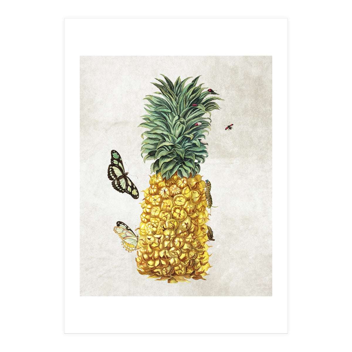 ananas (Print Only)