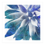Rough Beauty 3 (Print Only) thumbnail