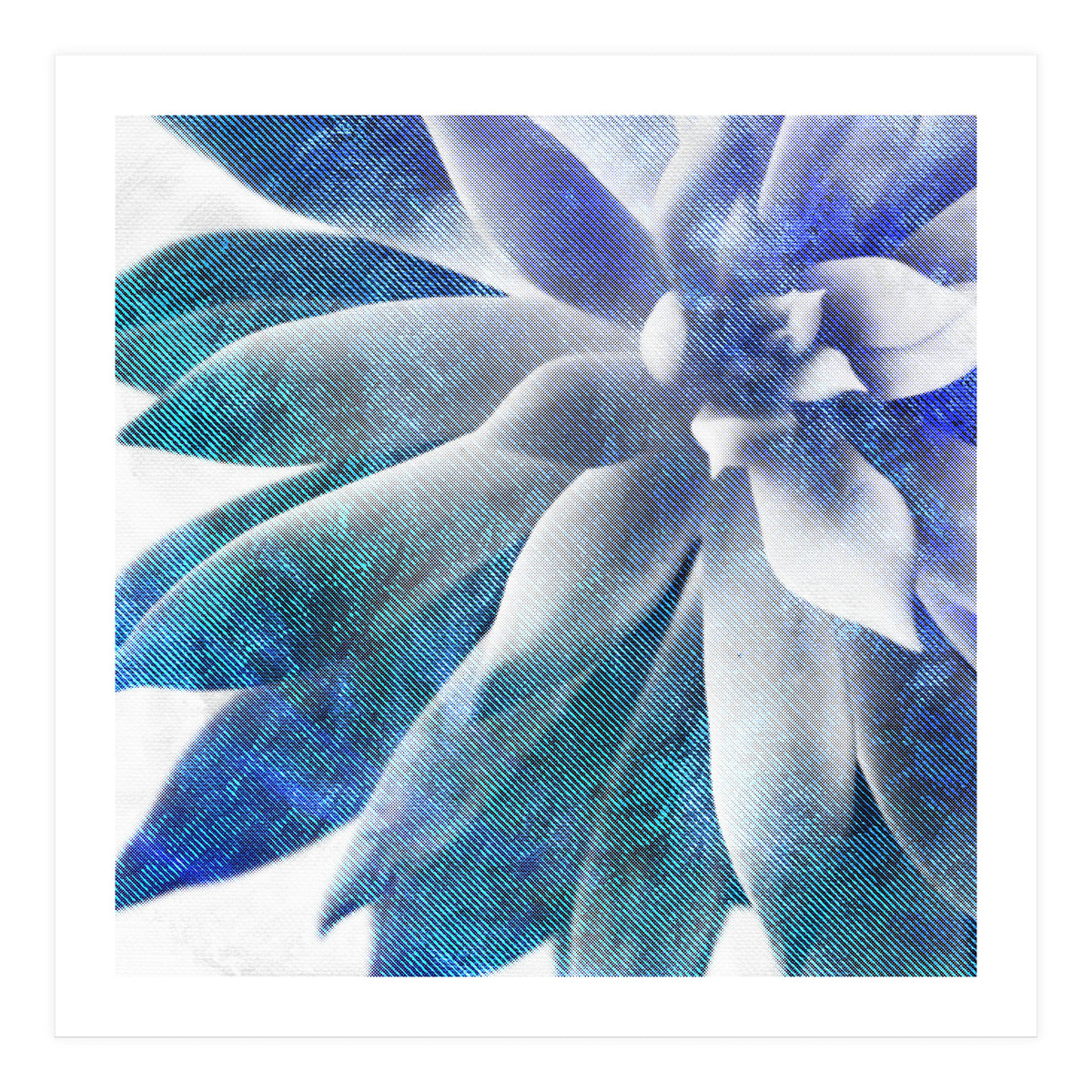 Rough Beauty 3 (Print Only)