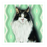 Cat 7: Django (Print Only) thumbnail