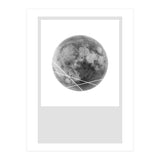 MOONLINES (Print Only) thumbnail