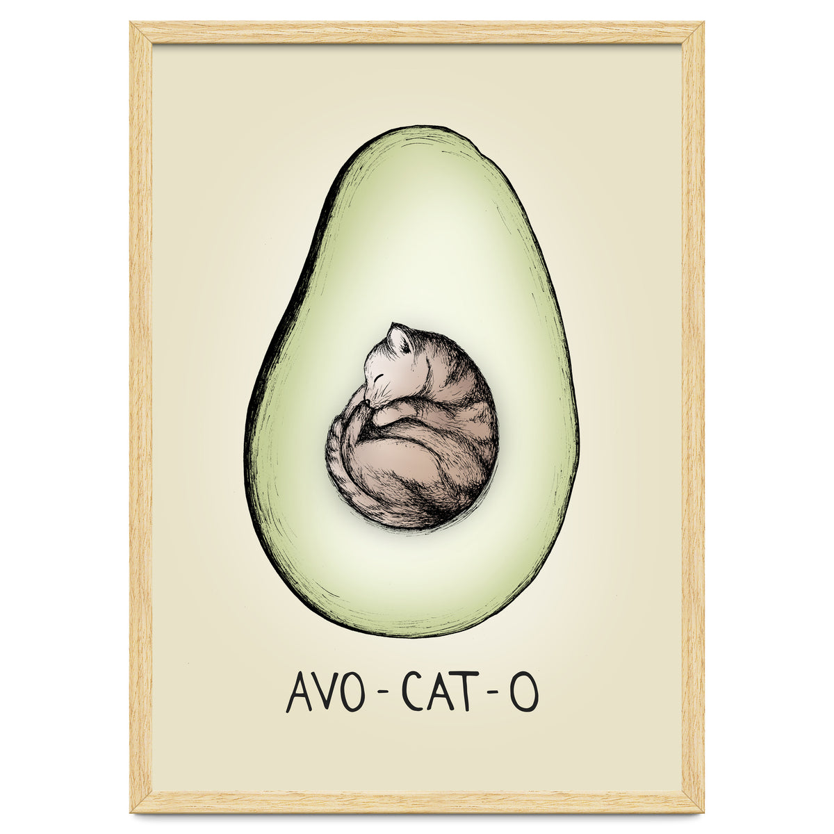 Avo-cat-o