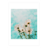 Fiona (Print Only) thumbnail