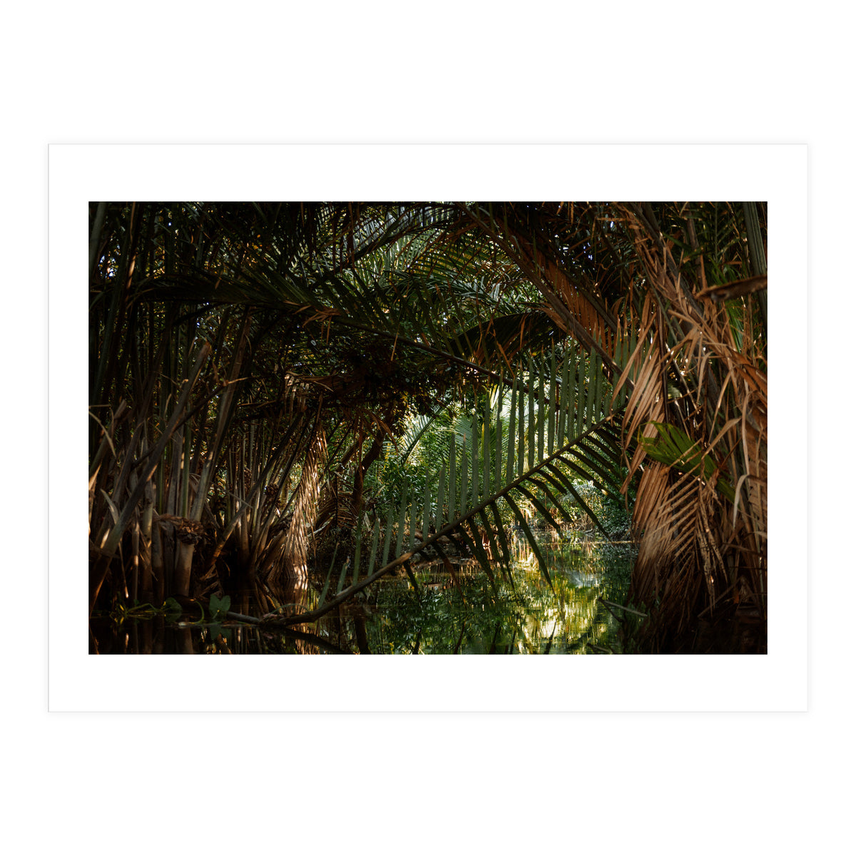 Exploring Vietnam (Print Only)