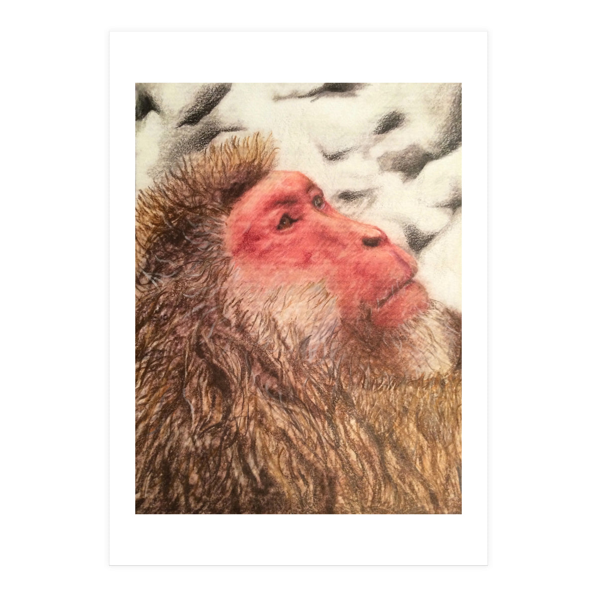 Japanese Macaque At The Onsen (Print Only)