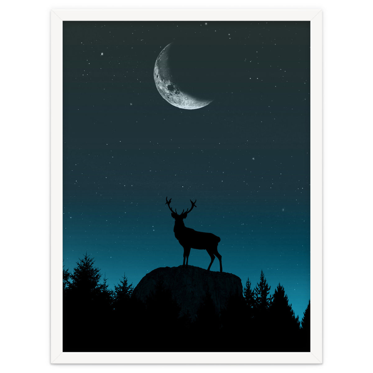 Wild Nature - Nocturne