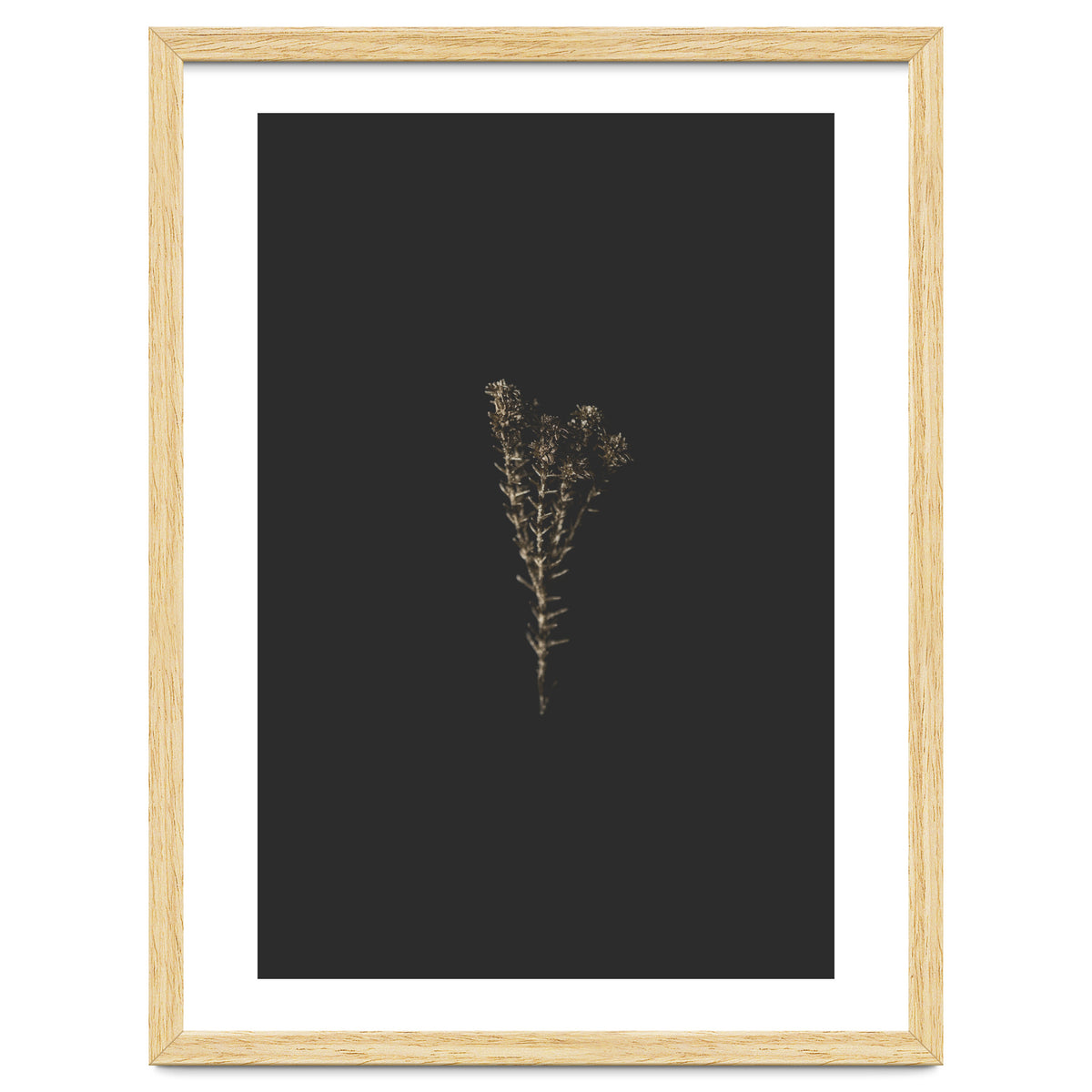 Moody Golden Botanicals