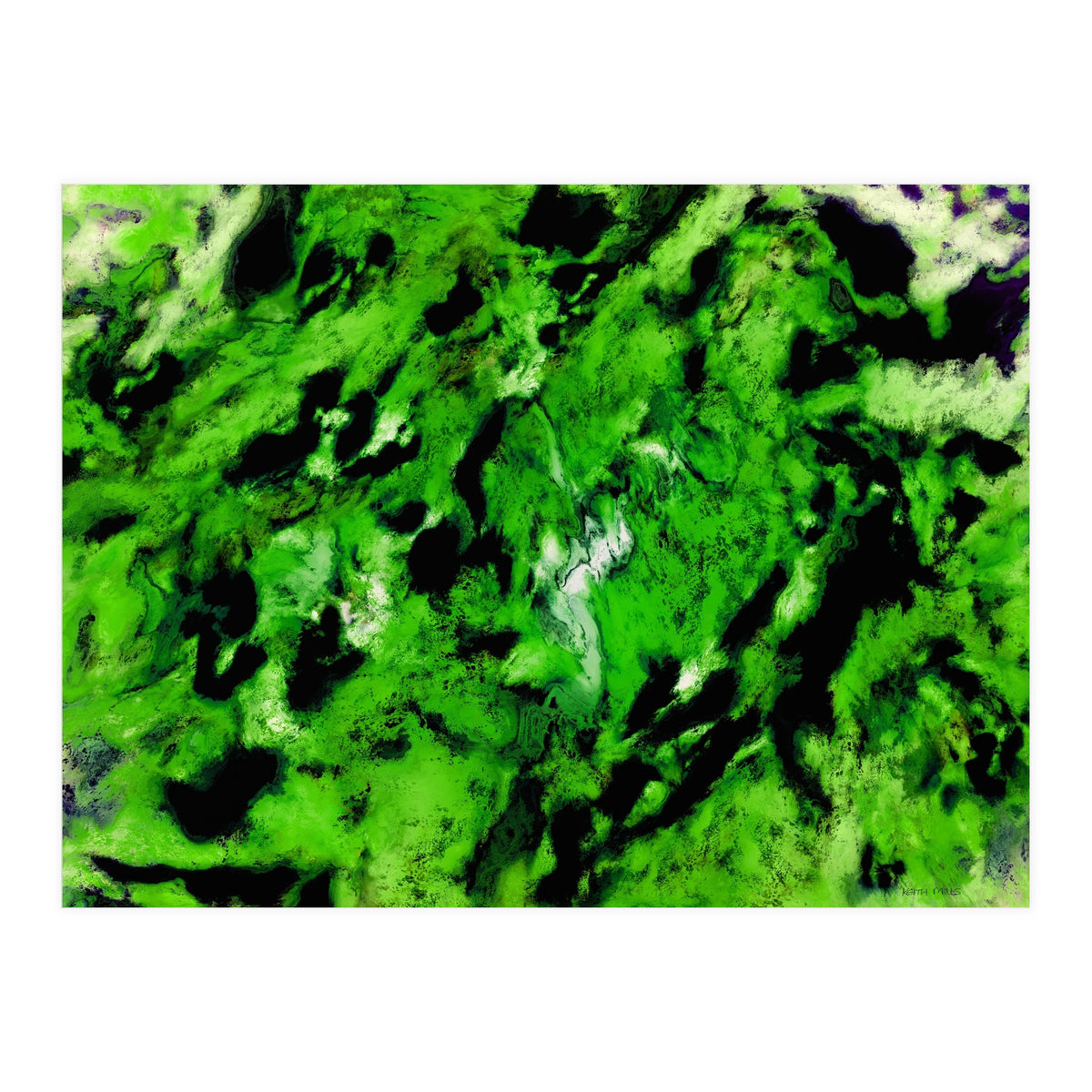 More Distinguishing Marks (Print Only)