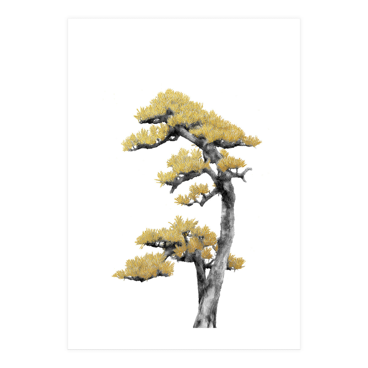 Bonsai Tree 04 (Print Only)