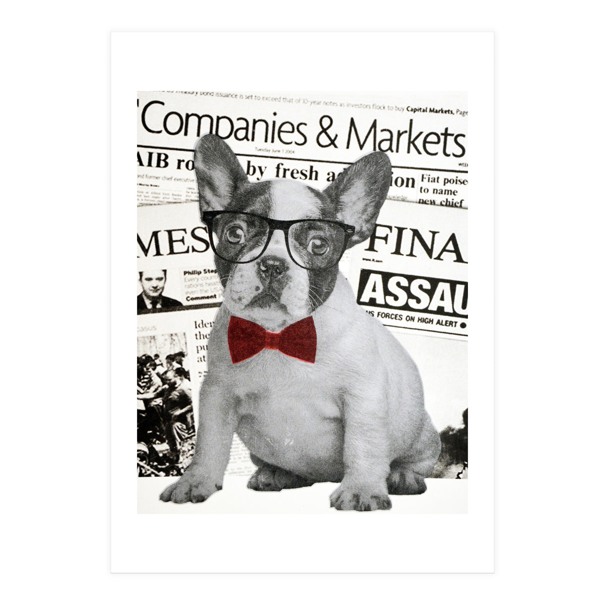 The Dog Of Wall Street (Print Only)