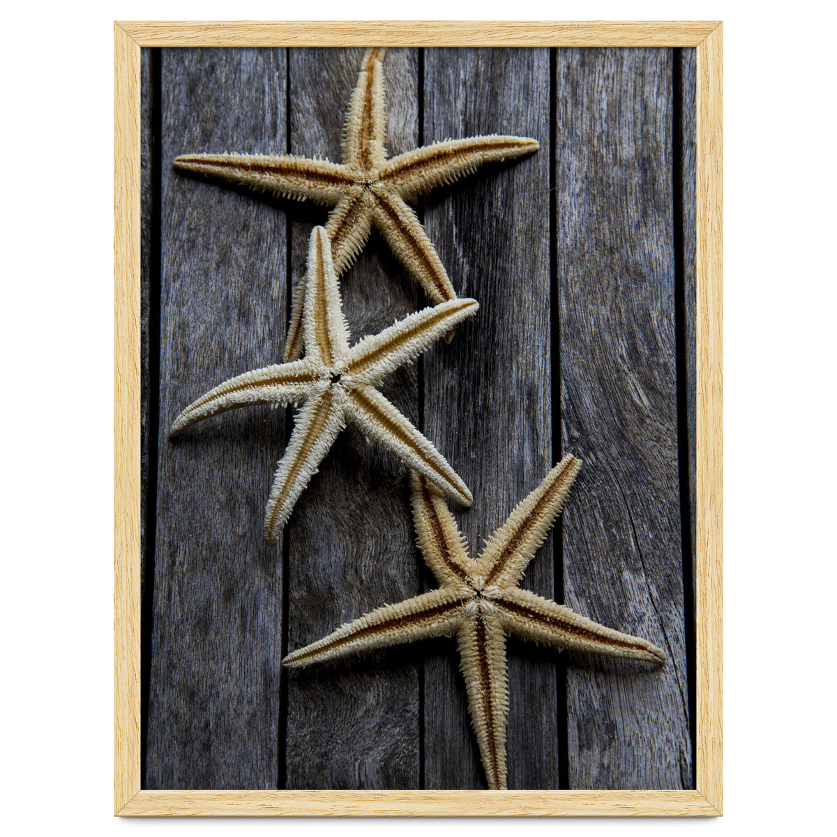 Starfishes in wooden