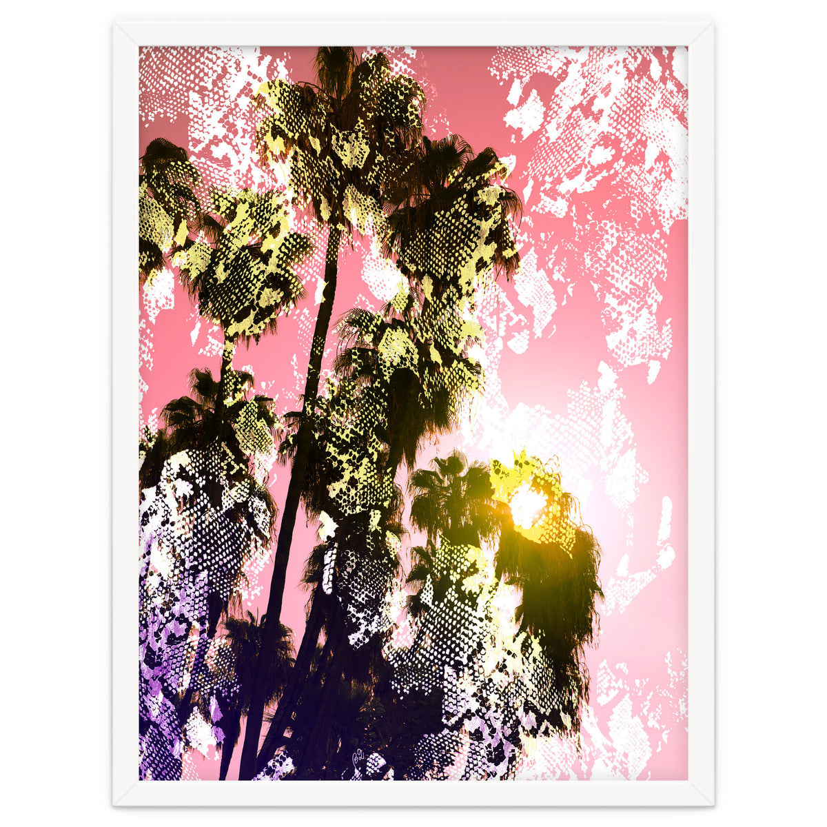 Snake sunset in paradise