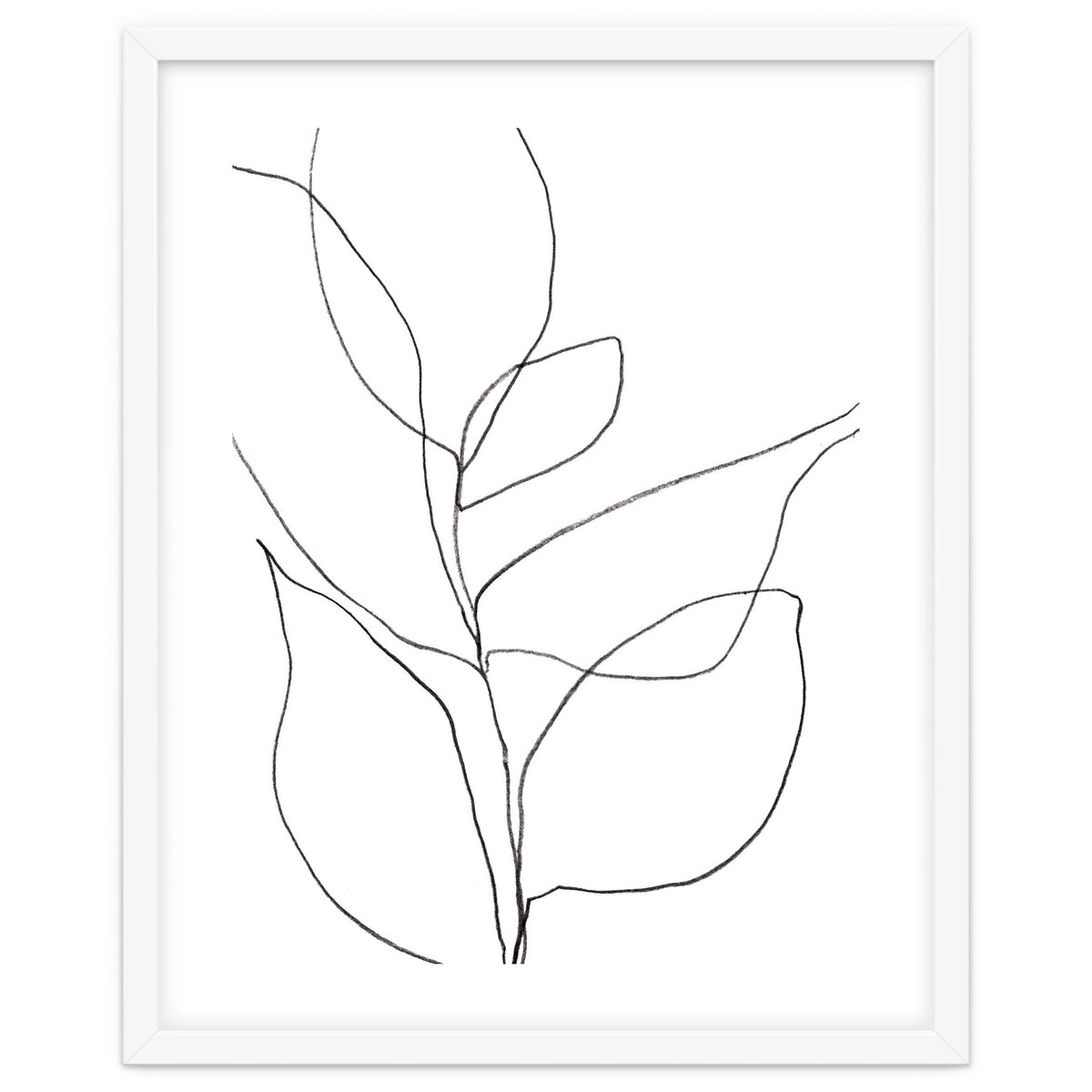 Plant Line Drawing