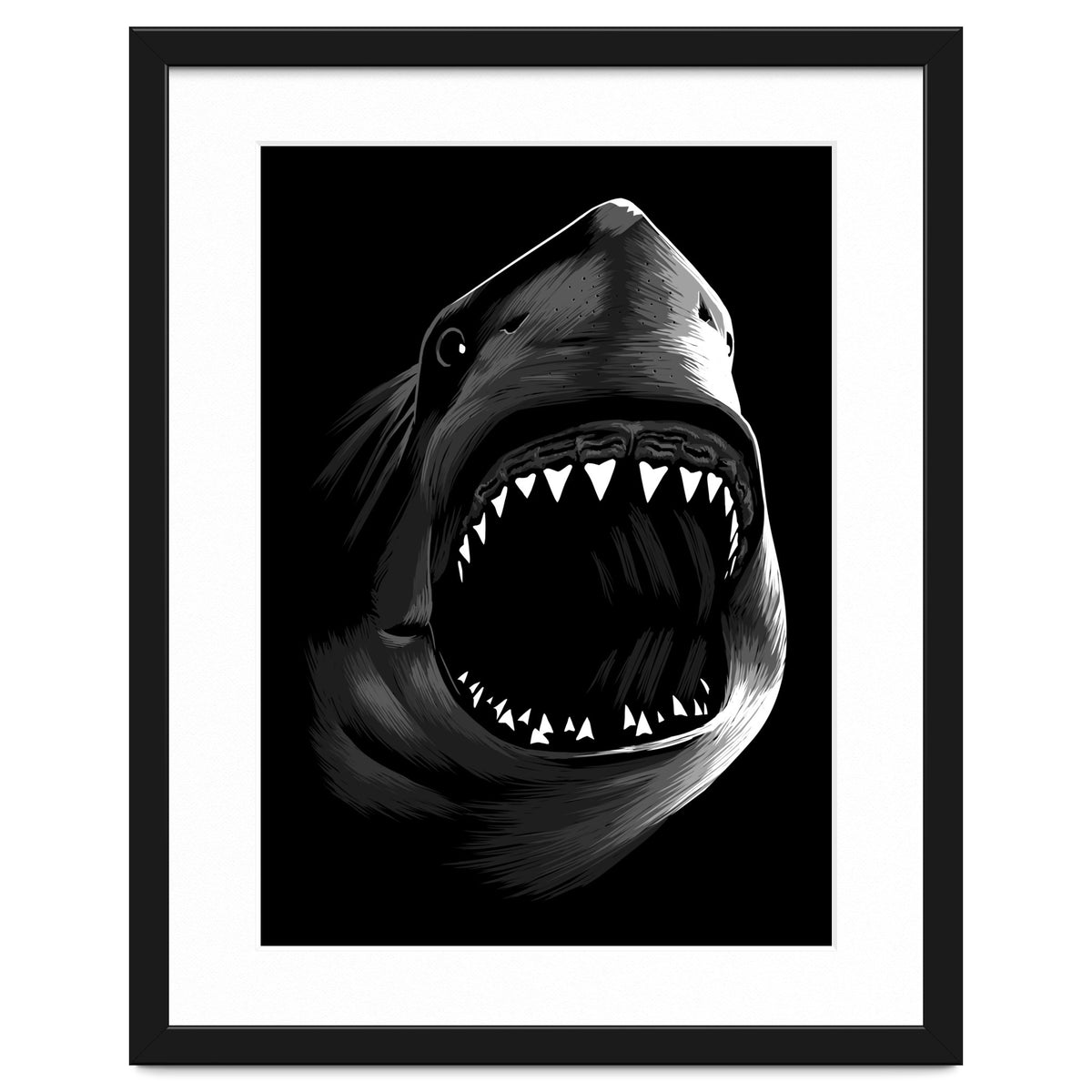 Megalodon