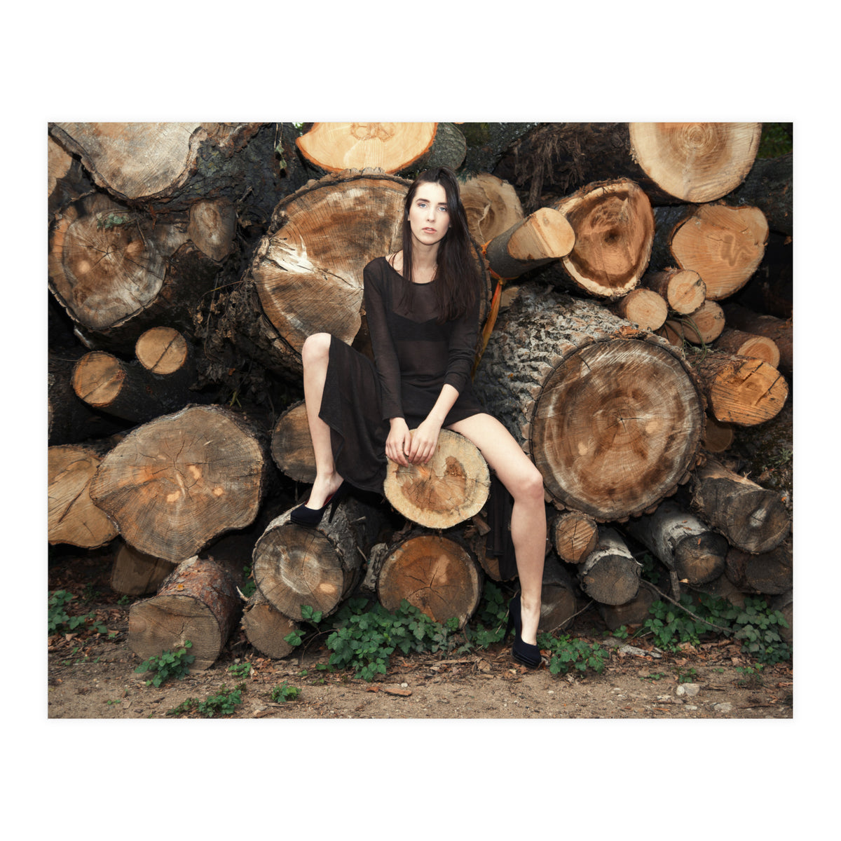 Slow Dancing Society (Print Only)