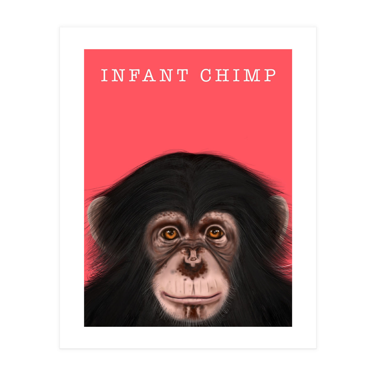 Infant Chimp (Print Only)