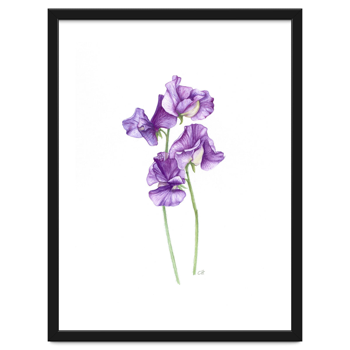 A Purple Posy Of Sweet Peas