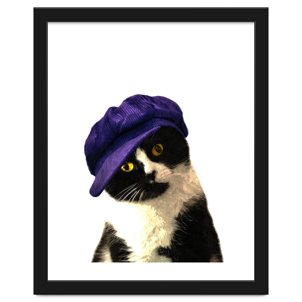 Cat Blue Hat