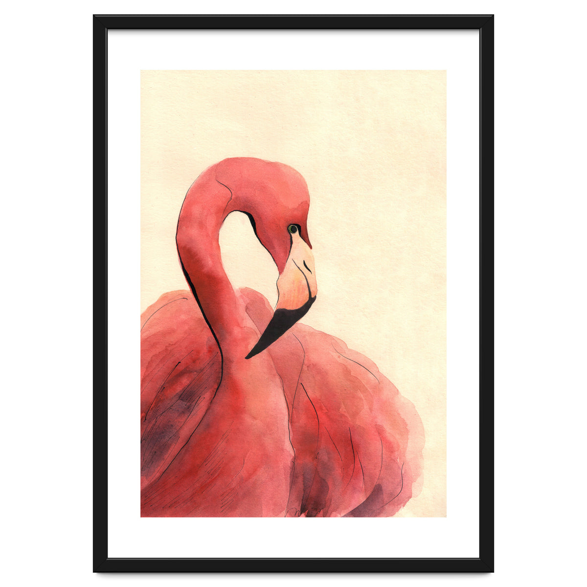 Flamingo