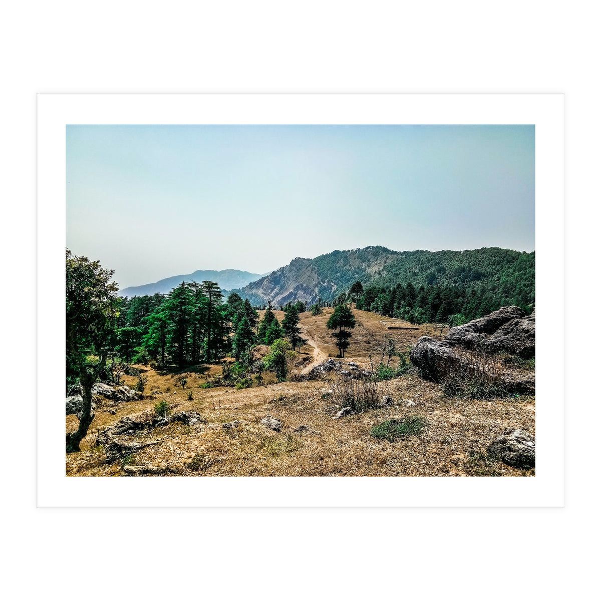 Let's Take A Walk (Print Only)