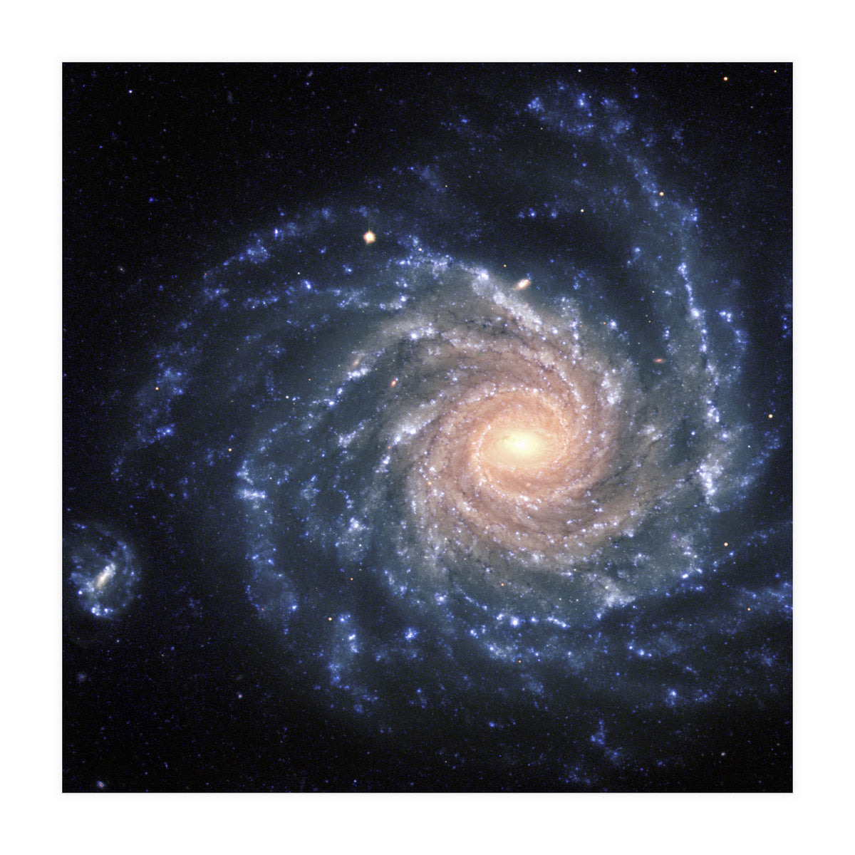 Spiral Galaxy NGC 1232 (Print Only)