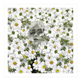 May The Days Be Aimless (Print Only) thumbnail
