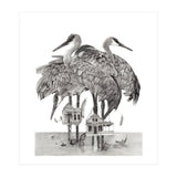 Crane Houses (Print Only) thumbnail