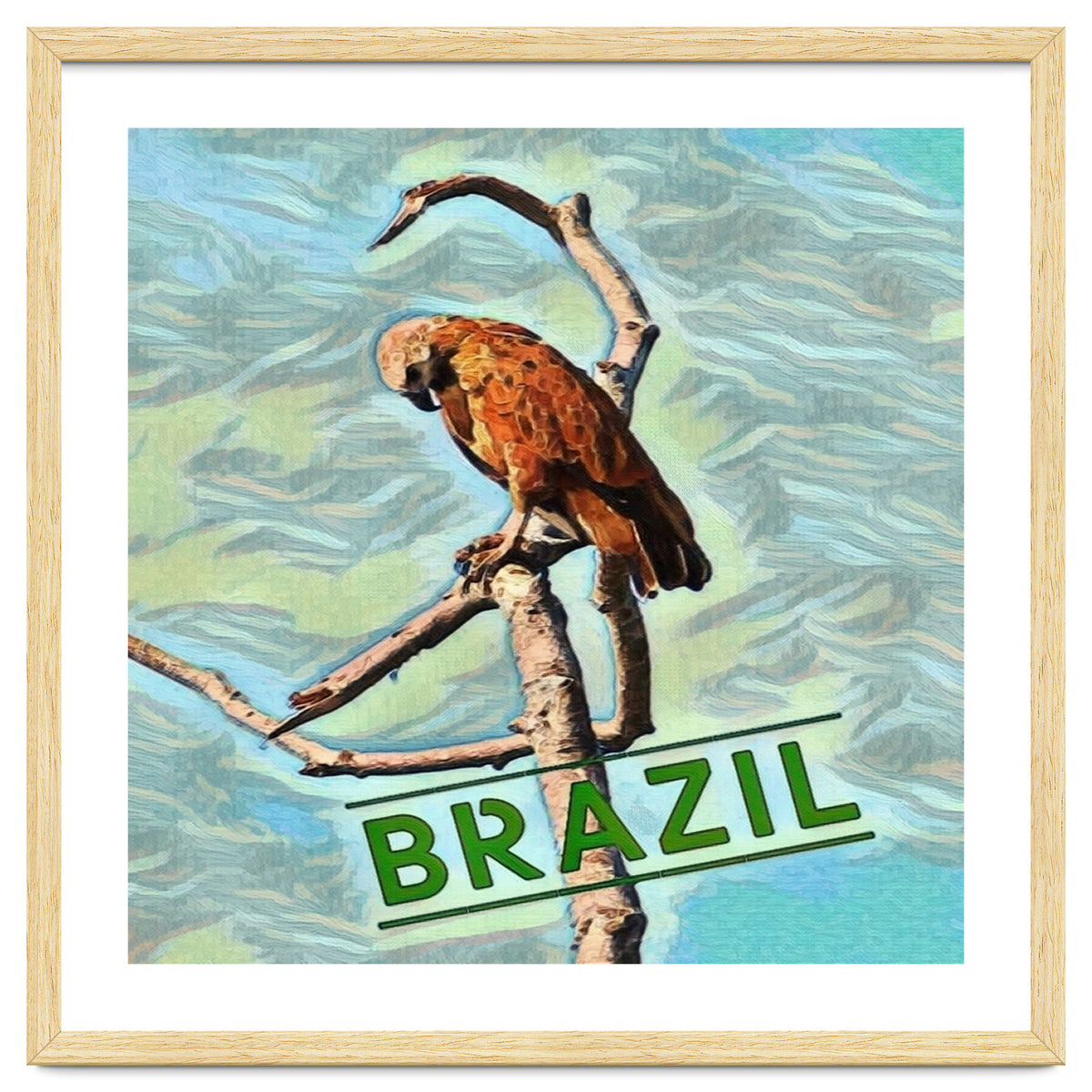 Brazilian resting Eagle