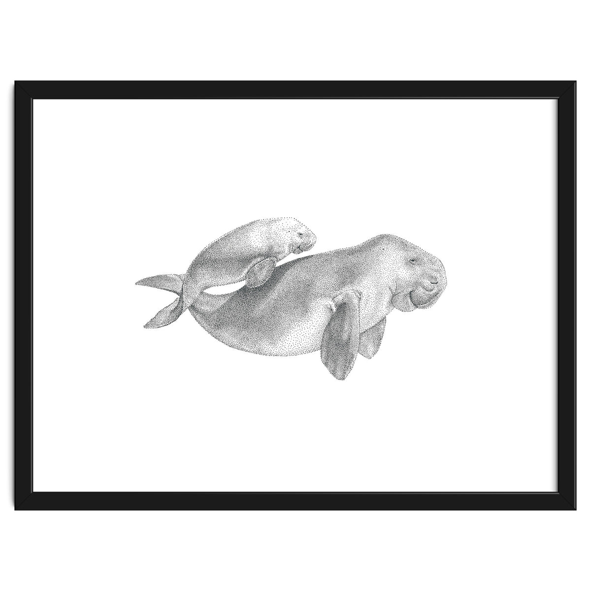 Dugongs no. 1
