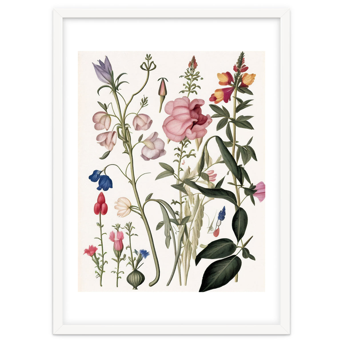 Flowers Botanical Vintage Illustration