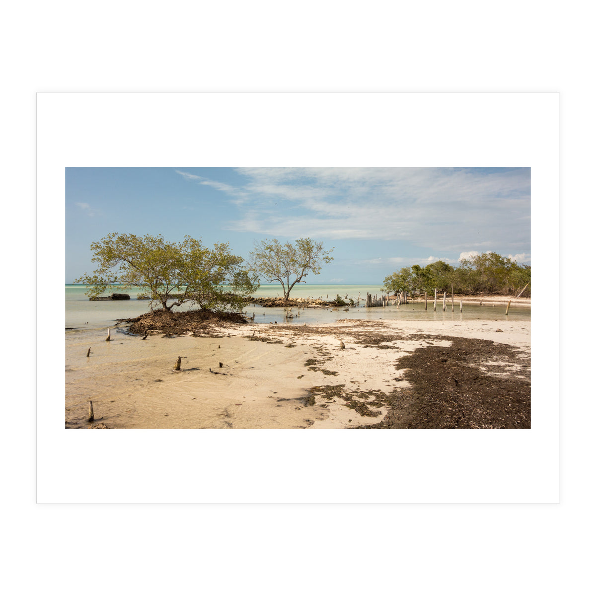 Yucatan beach (Print Only)