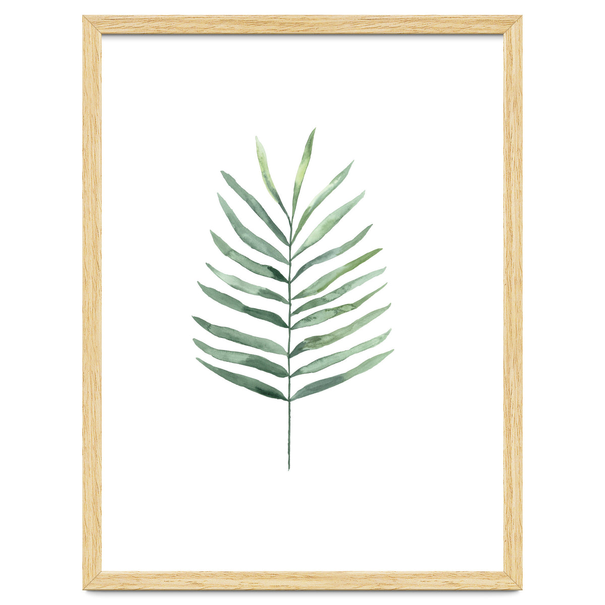 Botanical Illustration Fern