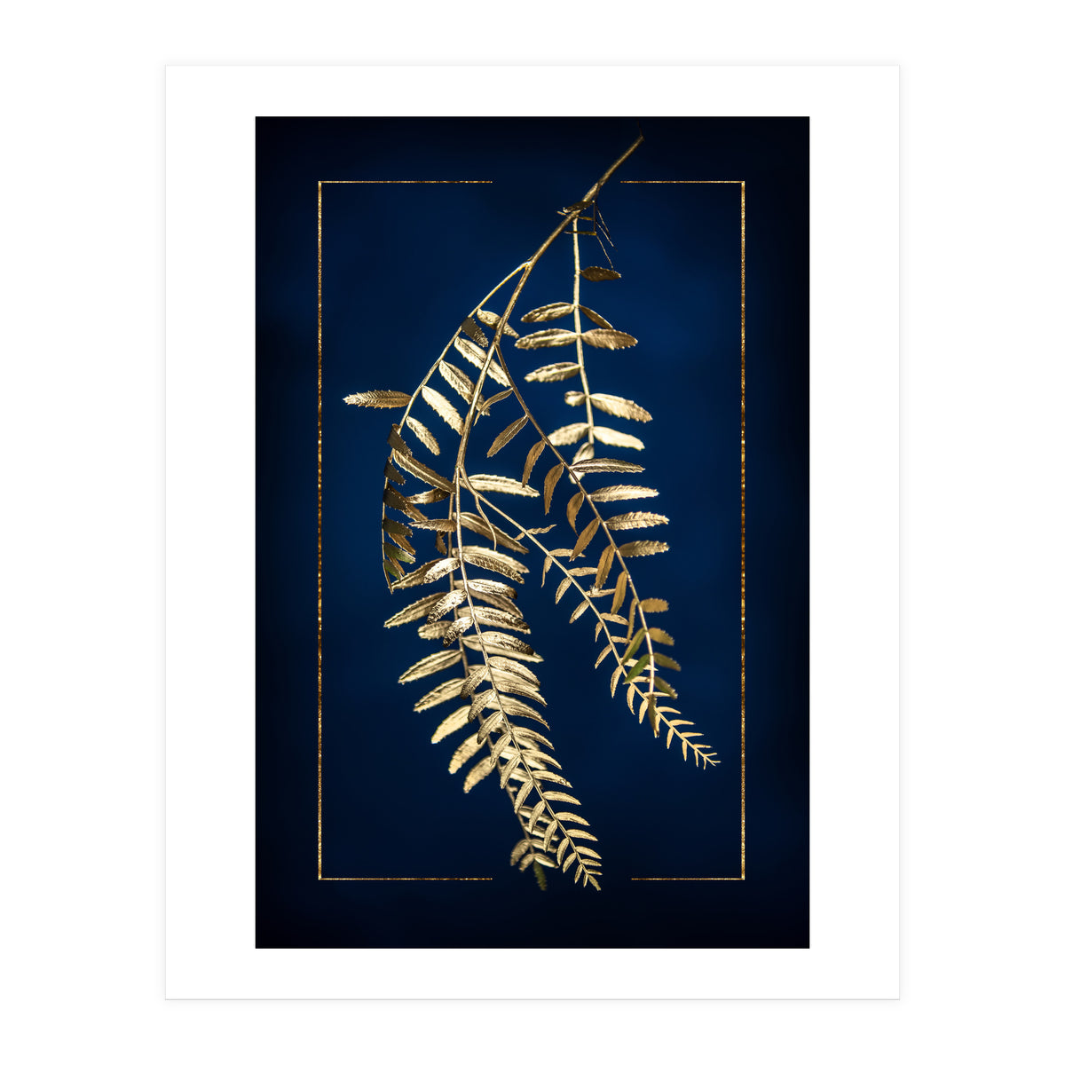 Golden Pepper Tree (Print Only)