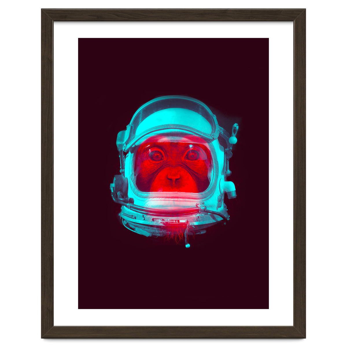 Astronaut