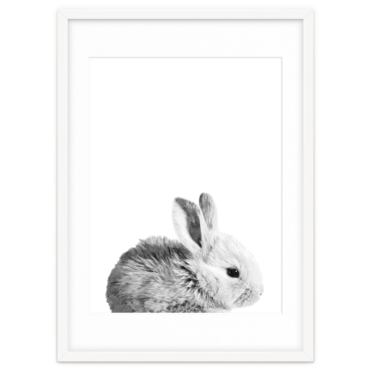 Black and White Bunny Portrait