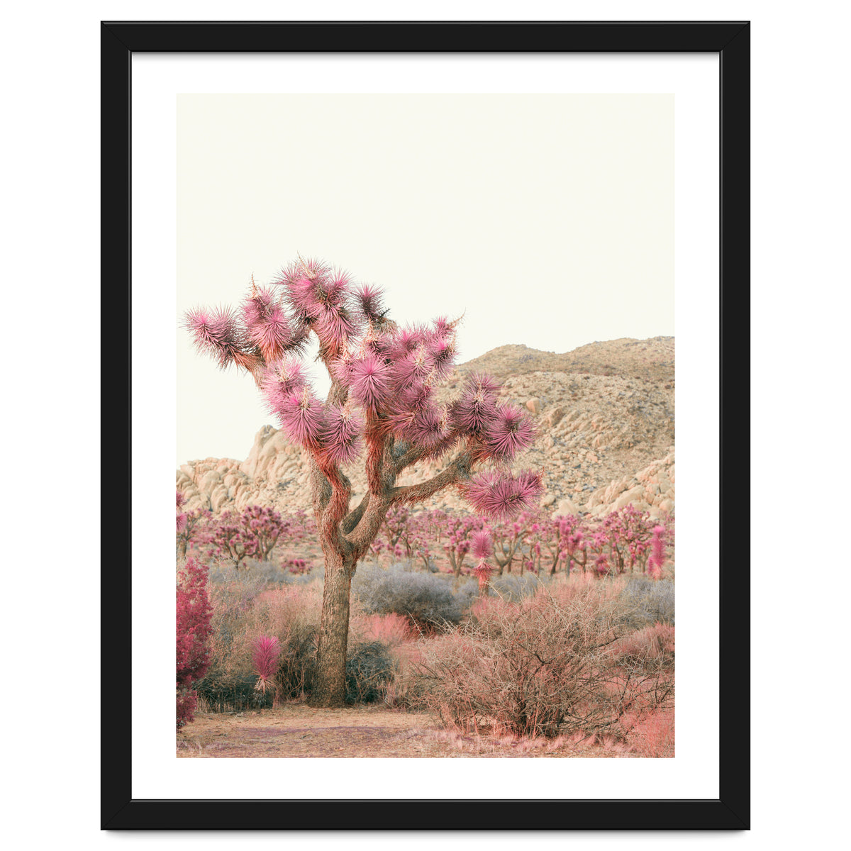 Boho Joshua Tree Cactus