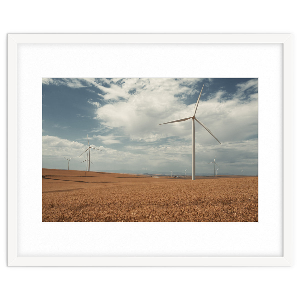 Windmill Farm
