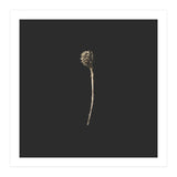 Simple Golden Botanical - Square (Print Only) thumbnail