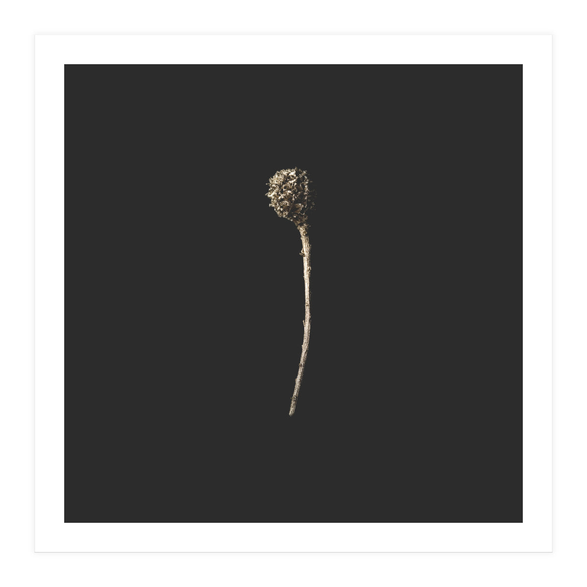 Simple Golden Botanical - Square (Print Only)